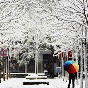 Heavy snow rain devastates southwest China