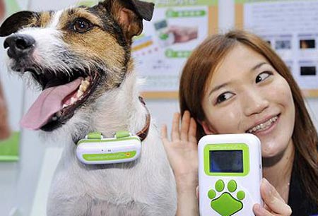 Help people understand dogs
