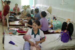 Hemorrhagic fever increases abnormally in HCMC
