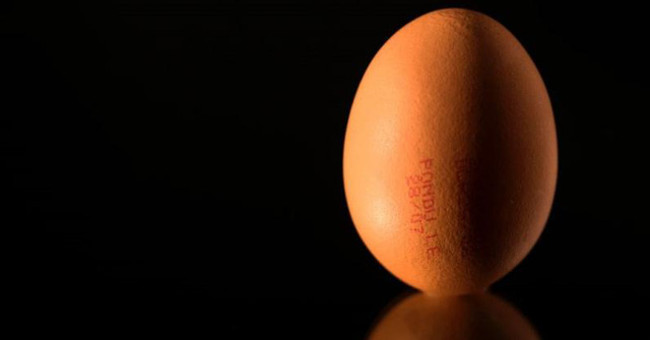 Hens laying eggs have anticancer drugs