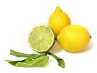 Herbal medicine cure laryngitis