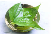 Herbal treatment for injury and software wounds