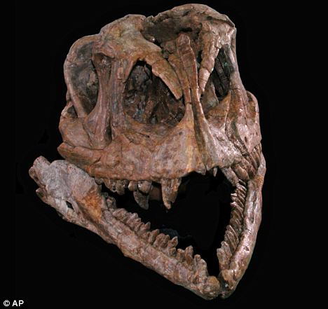 Herbivorous dinosaurs received ancestors