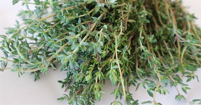 Herbs have the ability to cure over 50 diseases