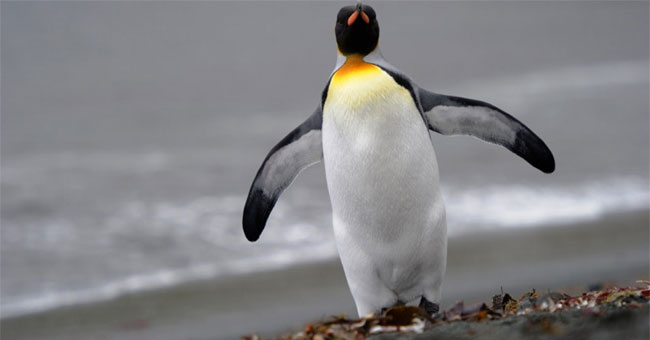 Here are 10 English words that are hard to pronounce the earth