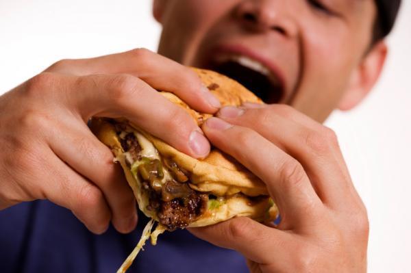 High-fat diet leads to stupidity and laziness?