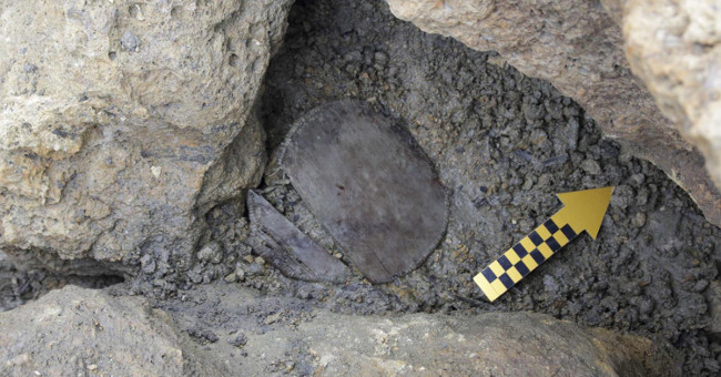 History of ancient rice seeds can be rewritten by discovery in the Alps