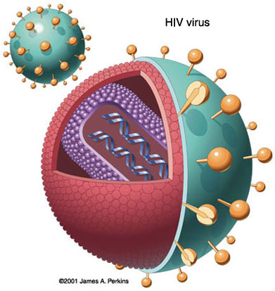 HIV becomes more dangerous?