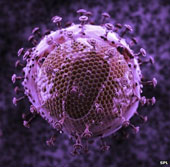 HIV virus is no longer as dangerous as before