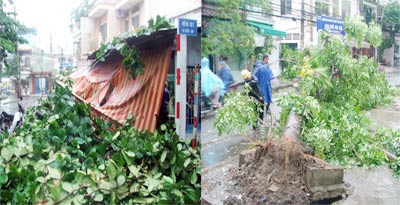 Ho Chi Minh City: Rainy, falling trees, flooded roads, burning electrical equipment