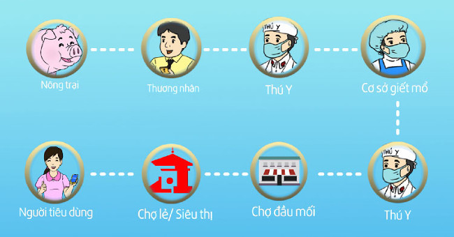 Ho Chi Minh City uses modern technology to trace pork origin