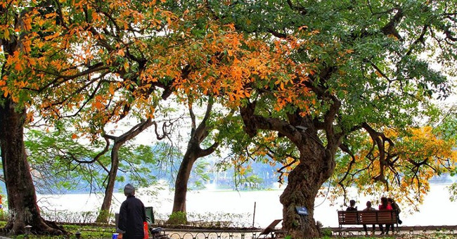 Ho Guom lake is beautiful and charming with the season of sesame and leaves