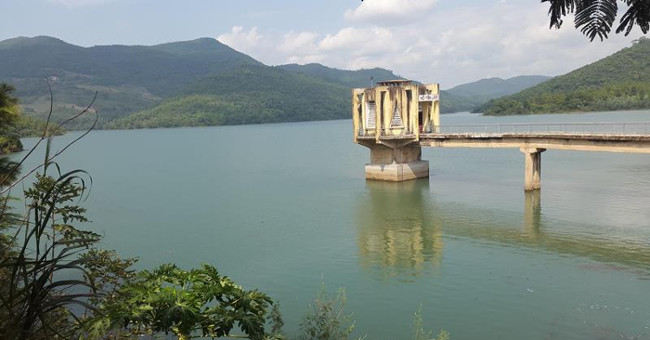 'Hoan Kiem turtle' appears in Yen Lap lake, Quang Ninh