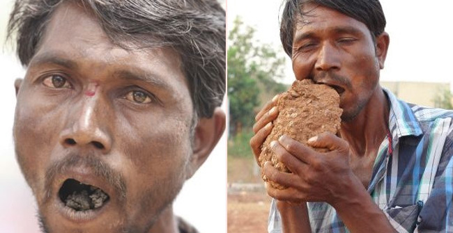 Hóc hùng of the mutant eats 3kg of mud every day, chewing bricks like a bim