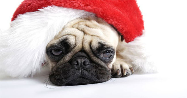 Holiday blue: Holiday depression is a real phenomenon and what does science say?