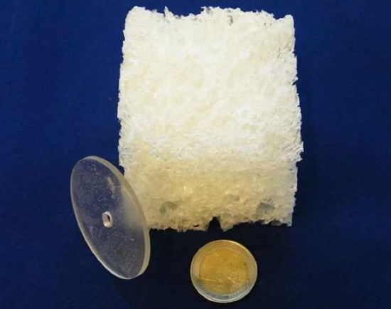 Holland makes harmless plastics
