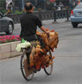 Hong Kong confirmed the first H7N9 infection
