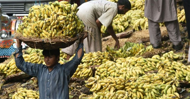 Hope for skin cancer patients from bananas