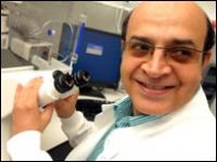 Hope to cure infertility from artificial sperm