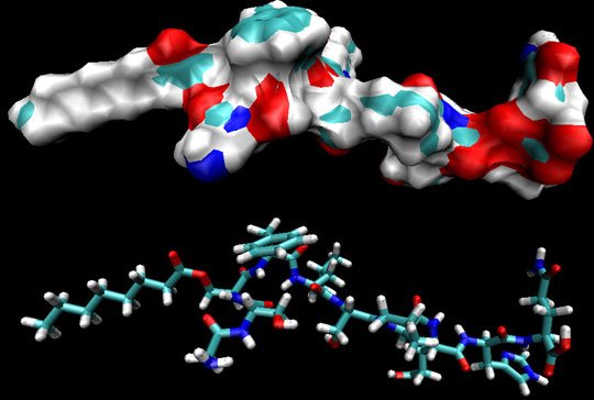 Hormone causes hunger to help prevent many diseases