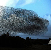 Horrifying 'storm' black sky of England