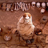 Horror graveyard mummy grinning