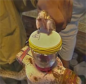 Horror of venomous snake venom makes human blood frozen like bloody soup