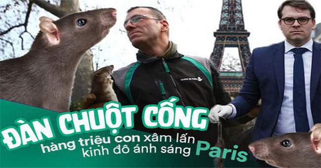 Horror 'storm' mouse tribute to the capital of Paris