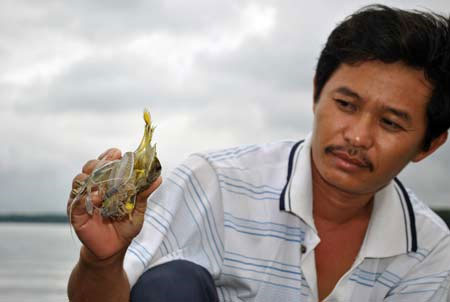 Horrors of strange snails on Thi Vai river