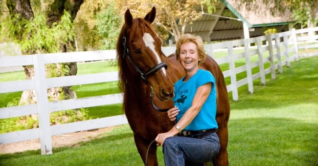 Horses know how to read people's emotions