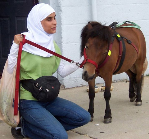 Horses replace guide dogs