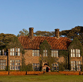 Hotel giraffe's paradise