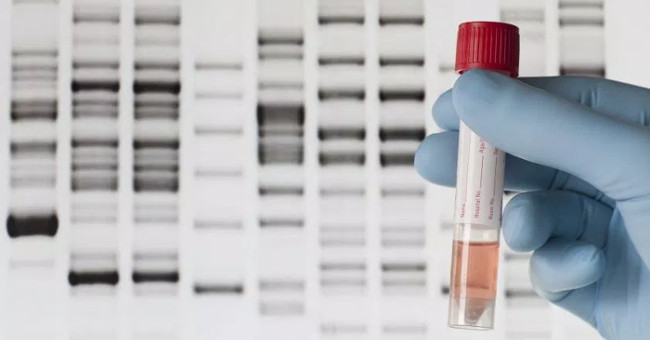 How accurate is the DNA test for the biological child?