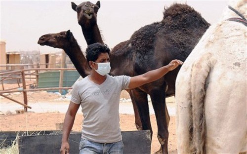 How are MERS-CoV and SARS different?