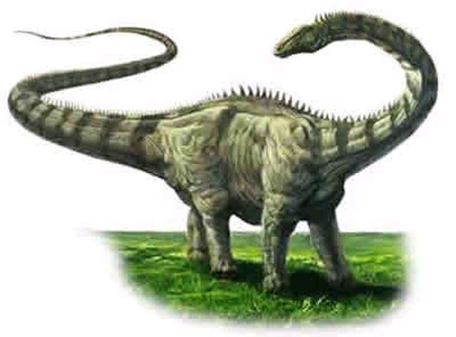 How big is the dinosaur?
