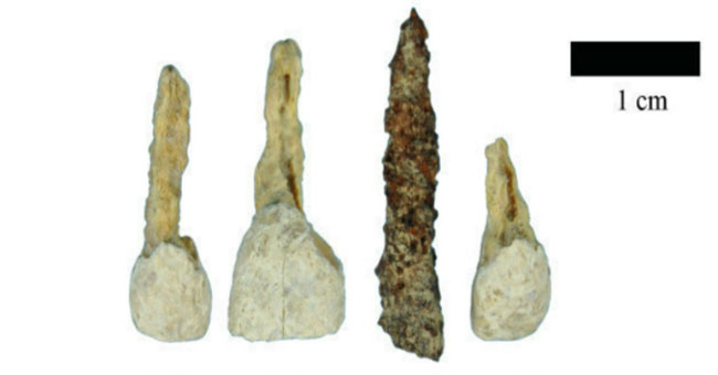 How did the ancient people grow their nostrils?