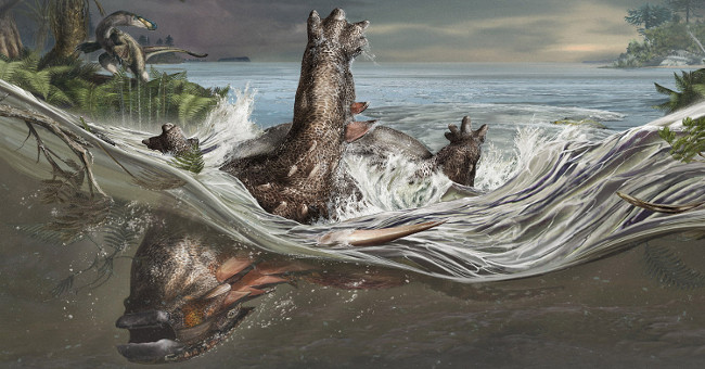 How did the fossil dragon sleep for 112 million years?