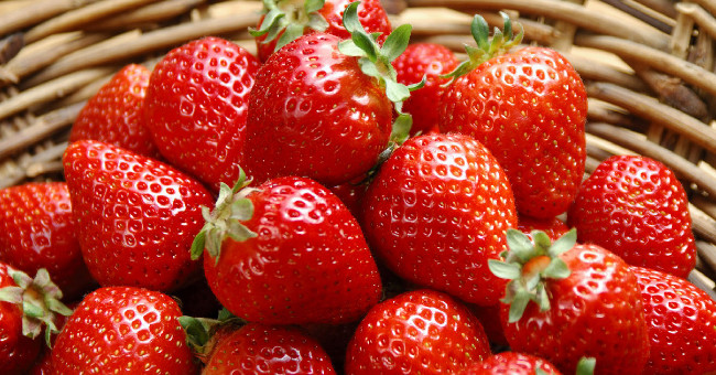 How do bacteria damage food?