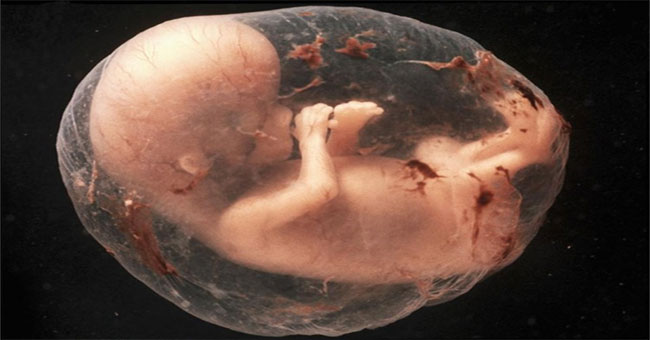 How do the births on Mars lead to terrible consequences?