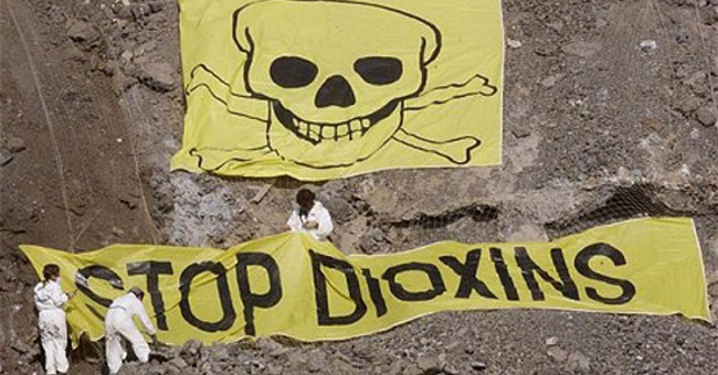 How does Agent Orange destroy the environment in Vietnam?