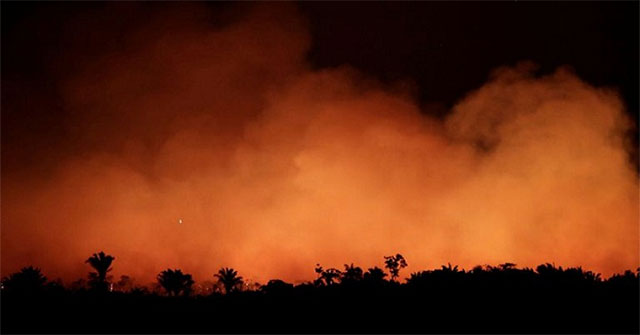 How does Amazon forest fire affect human health?
