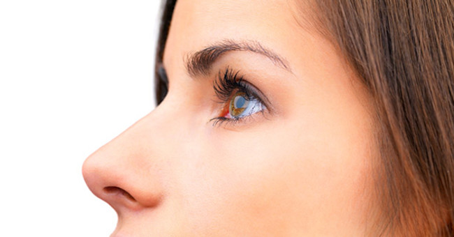 How does climate change affect the shape of the human nose?