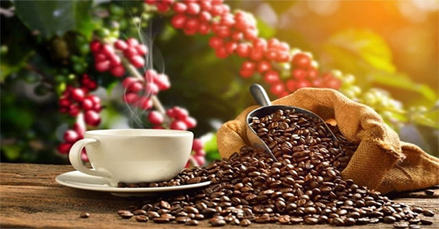 How does coffee affect human health?