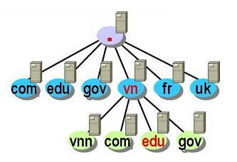 How does DNS work?