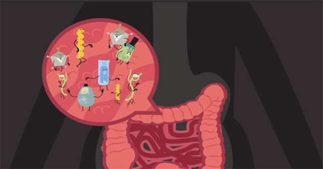 How does food strongly affect the intestinal tract?