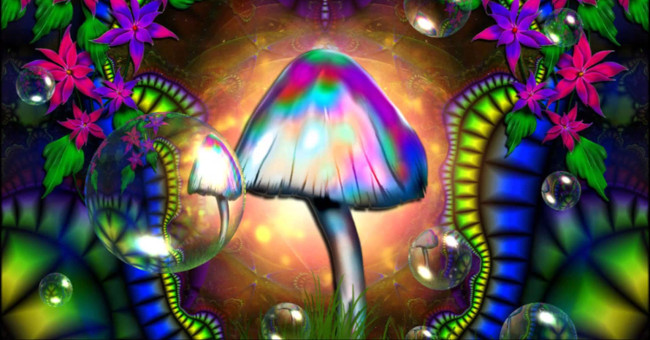 How does hallucinogenic mushroom affect your body?