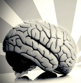 How does man work if only half of his brain is left?