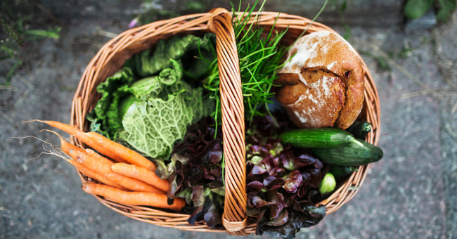 How does nutrition affect the brain?
