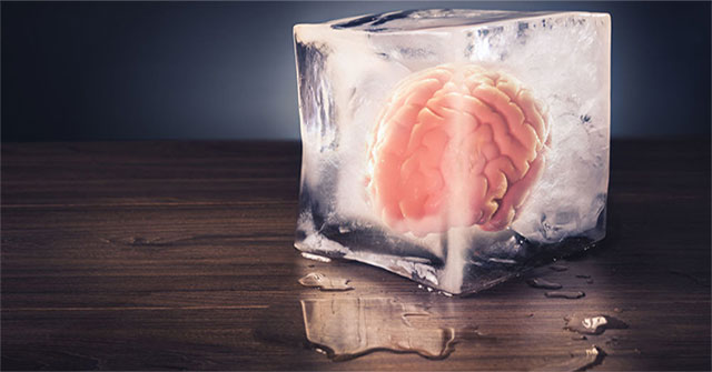 How does our brain remember the way home?