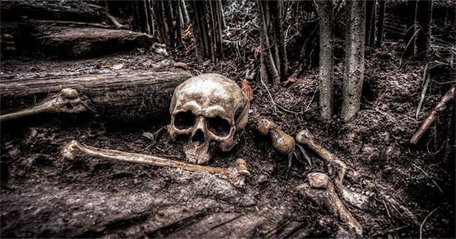 How does science know the gender of a skull?